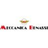 Recambios motoazadas Benassi